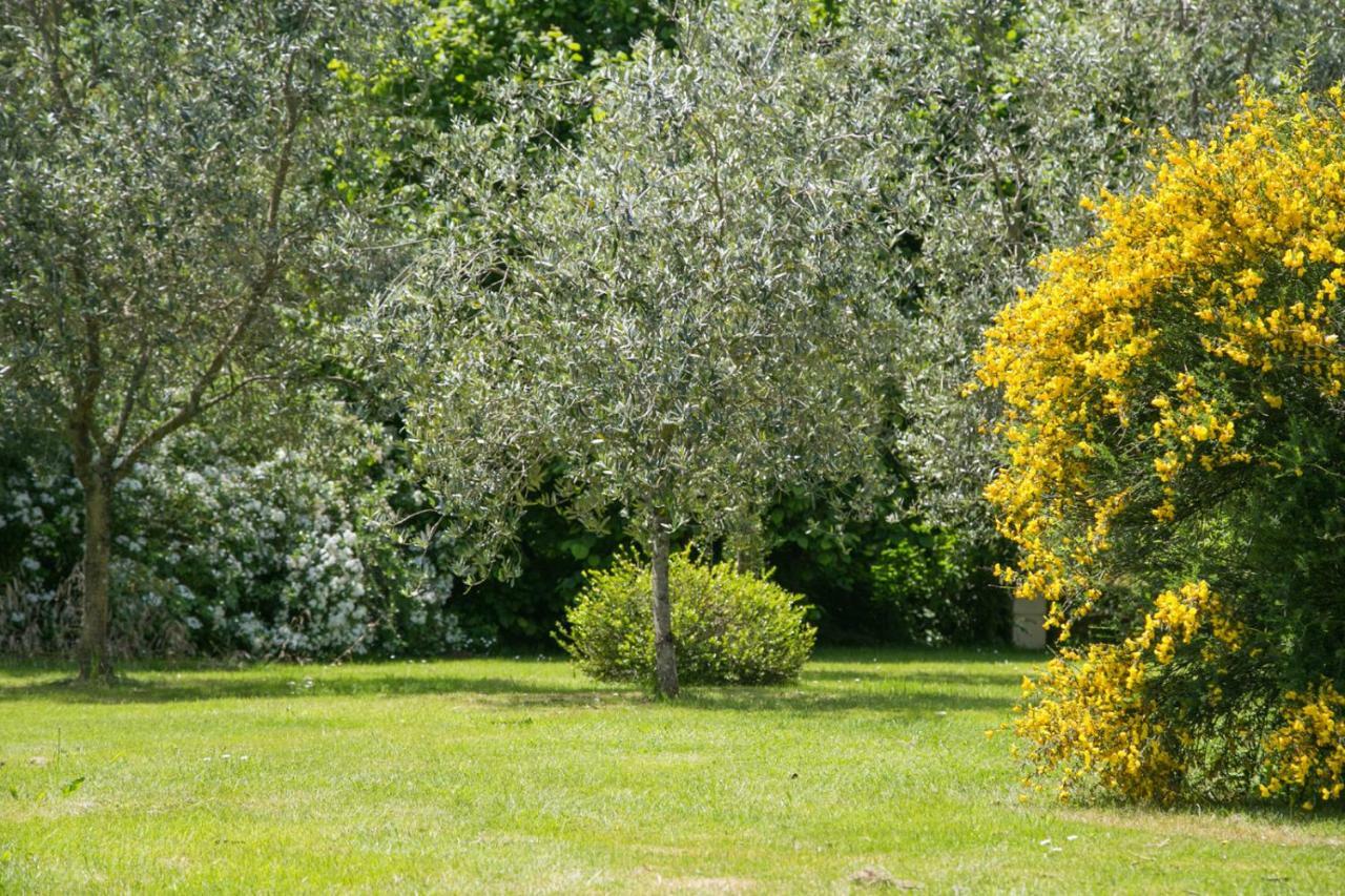 Les Dames De Nage Bed and Breakfast Grand-Champ Exteriör bild